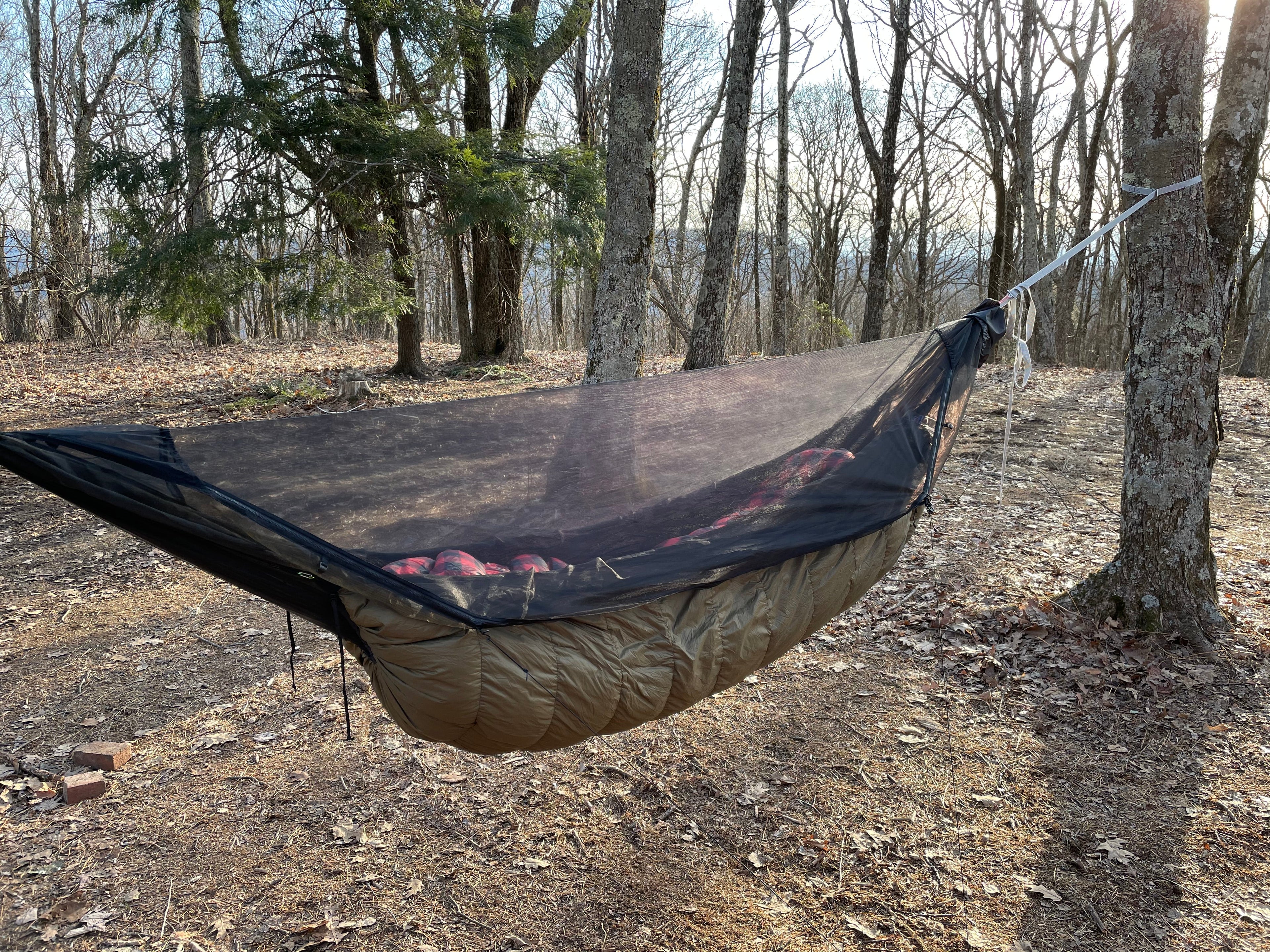 Jacks R Better down hammock underquilt with bug net hung in a winter forest on a mountain ridge