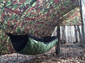 Jacks R Better Bear Mountain Bridge Hammock set up between two trees at a campsite