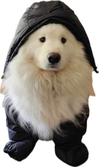Down Hood